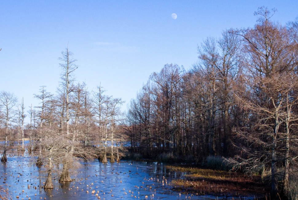 Discover Osceola, AR: An Introduction to the City and its Weather