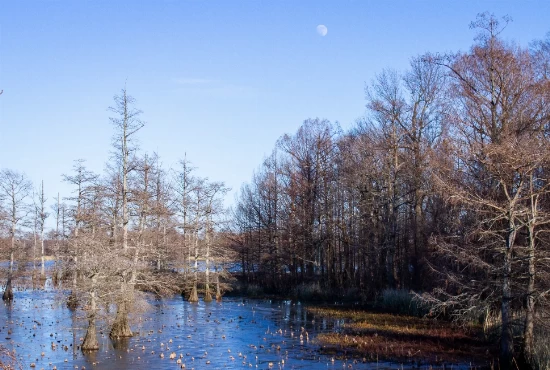 Discover Osceola, AR: An Introduction to the City and its Weather